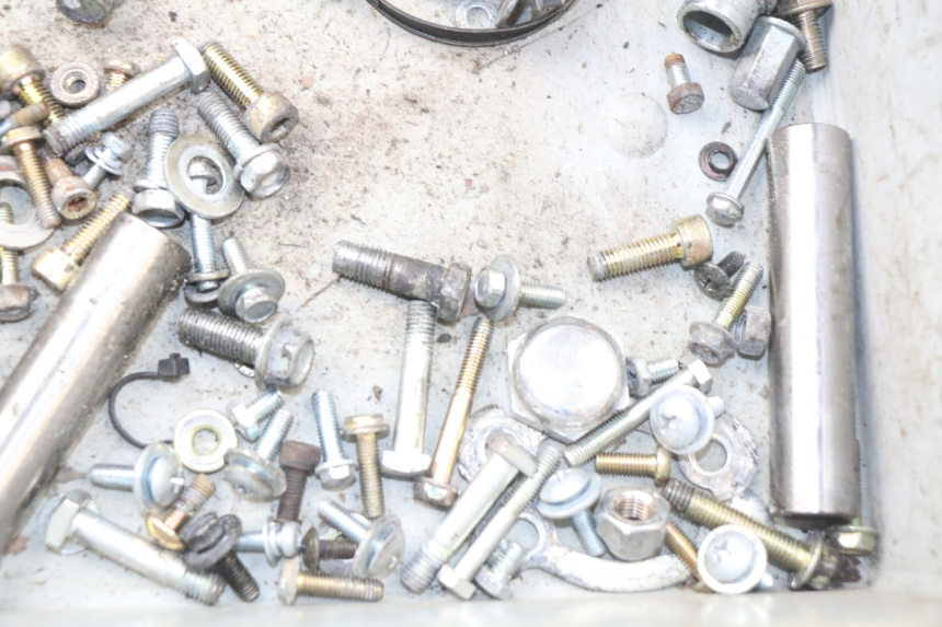 photo de SCREWS BAG HYOSUNG AQUILA GV 125 (2009 - 2016)