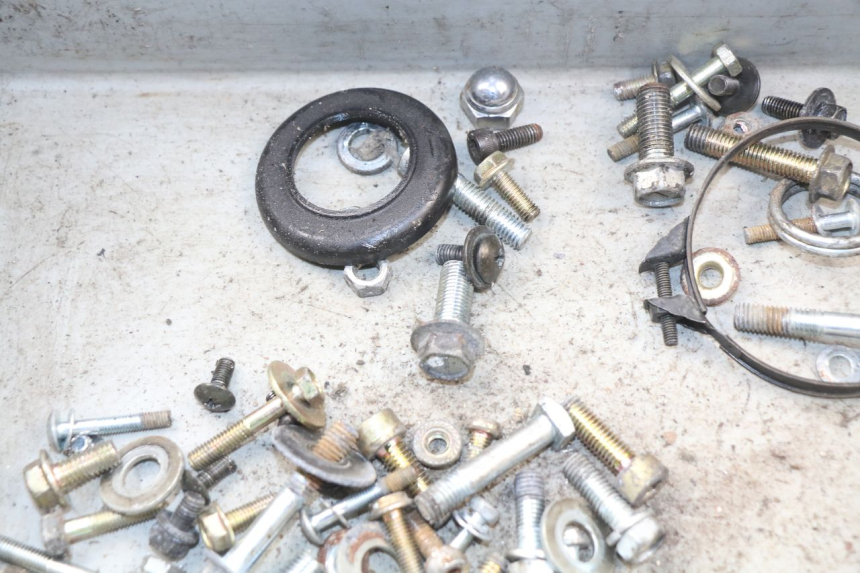 photo de SCREWS BAG HYOSUNG AQUILA GV 125 (2009 - 2016)