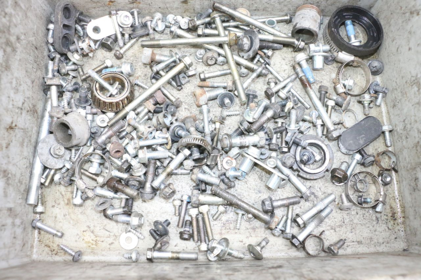 photo de SCREWS BAG SUZUKI BURGMAN 650 (2013 - 2020)