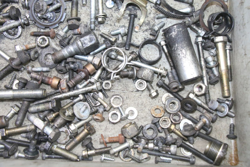 photo de SCREWS BAG PEUGEOT ELYSEO 125 (1999 - 2004)