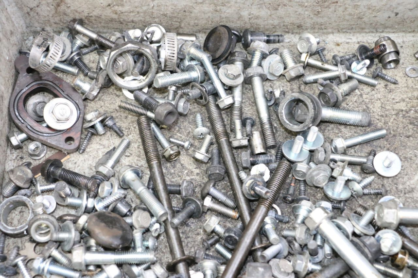 photo de SCREWS BAG HONDA FORZA ABS 300 (2013 - 2019)