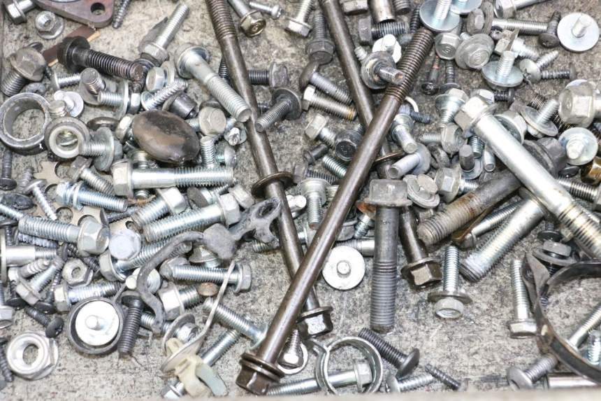 photo de SCREWS BAG HONDA FORZA ABS 300 (2013 - 2019)