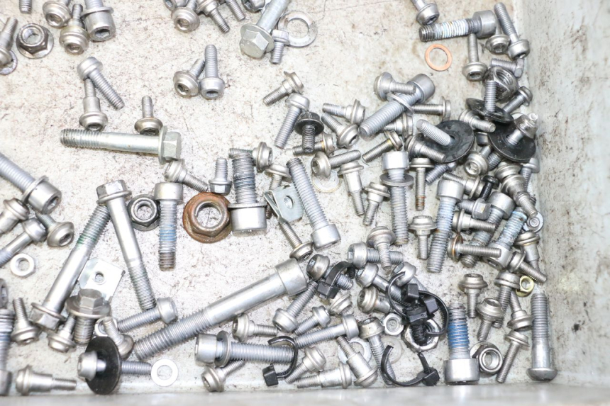 photo de SCREWS BAG BMW G310 R 310 (2016 - 2020)