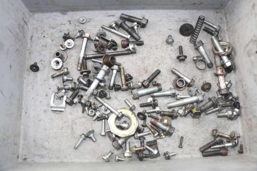 photo de SCREWS BAG HONDA SES DYLAN 125 (2002 - 2006)