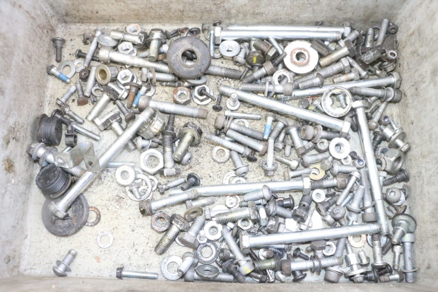 photo de SCREWS BAG PIAGGIO IE MP3 YOURBAN 300 (2011 - 2016)