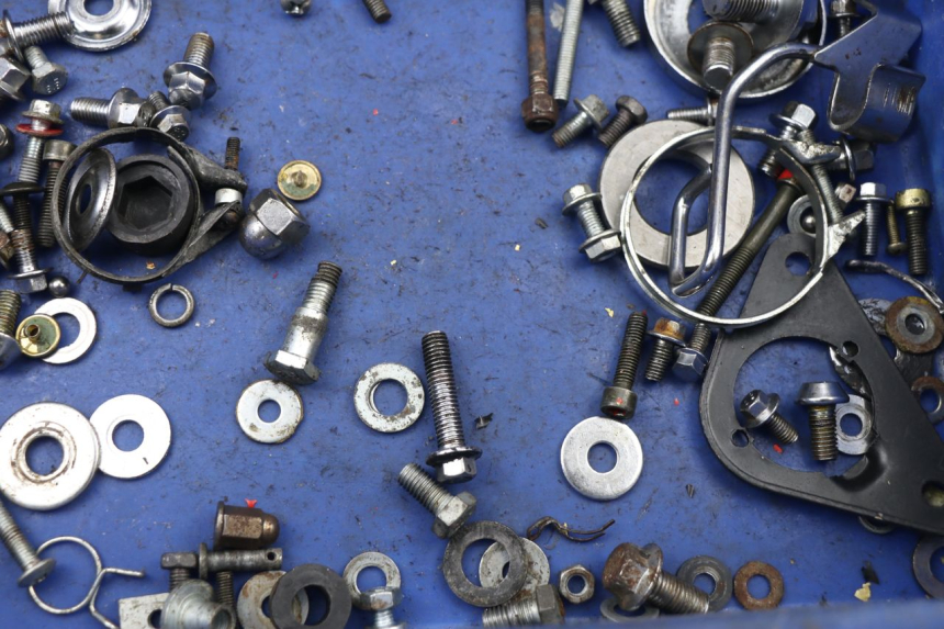 photo de SCREWS BAG LIFAN ROYAL KING 250 (2011 - 2019)