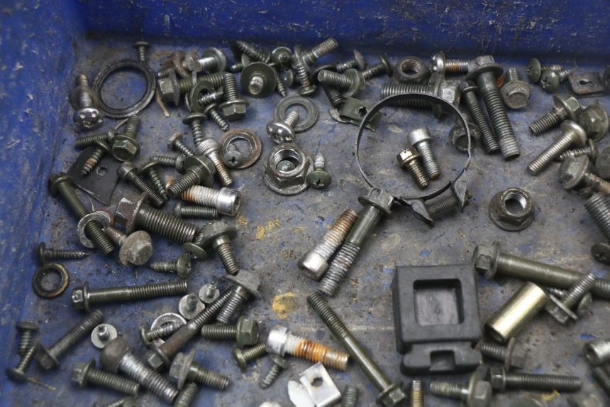 photo de SCREWS BAG LONGJIA EASY MAX 125 (2020 - 2024)