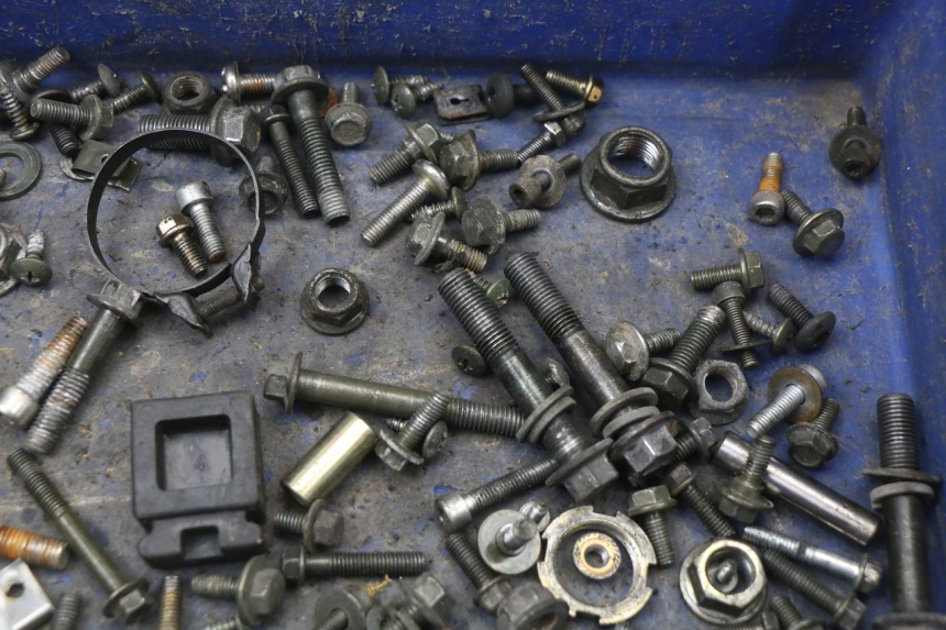 photo de SCREWS BAG LONGJIA EASY MAX 125 (2020 - 2024)