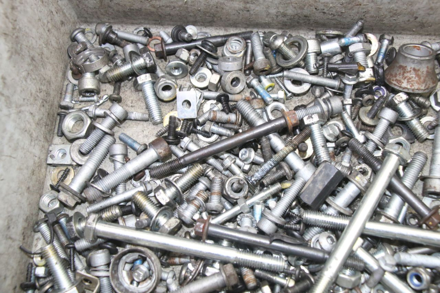 photo de SCREWS BAG PIAGGIO MP3 500 (2014 - 2016)
