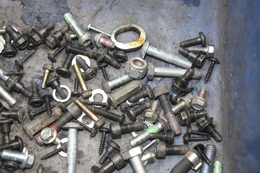 photo de SCREW BAG PEUGEOT CITYSTAR 2T 50 (2018 - 2021)