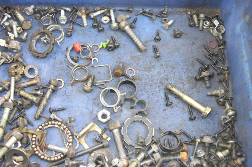 photo de SCREWS BAG PEUGEOT GEOPOLIS RS 125 (2007 - 2009)