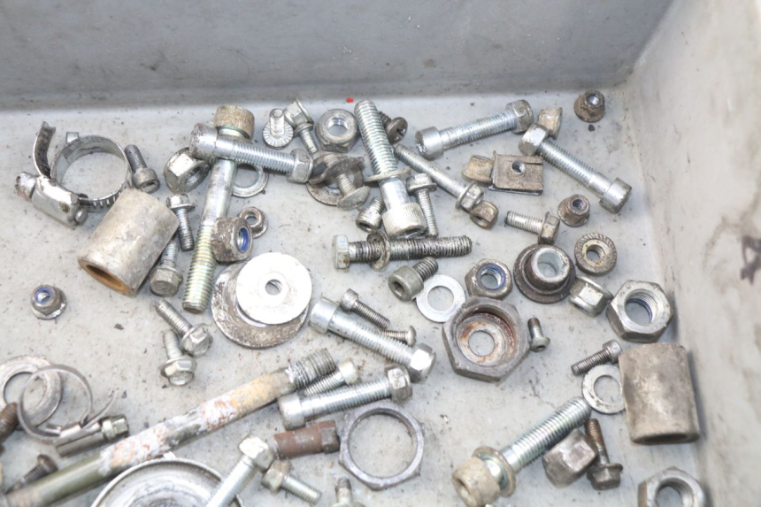 photo de SCREWS BAG RIEJU RR 50 (1998 - 2007)