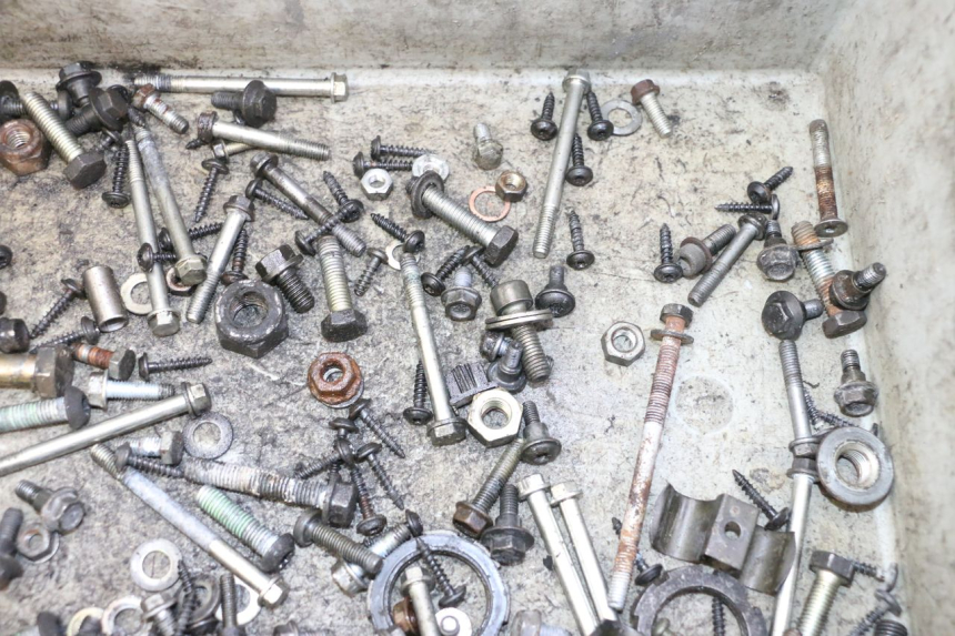 photo de SCREW FASTENER BAG PEUGEOT SATELIS 125 (2006 - 2009)