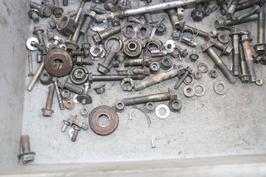 photo de SCREWS BAG SHINERAY XY150STE 150