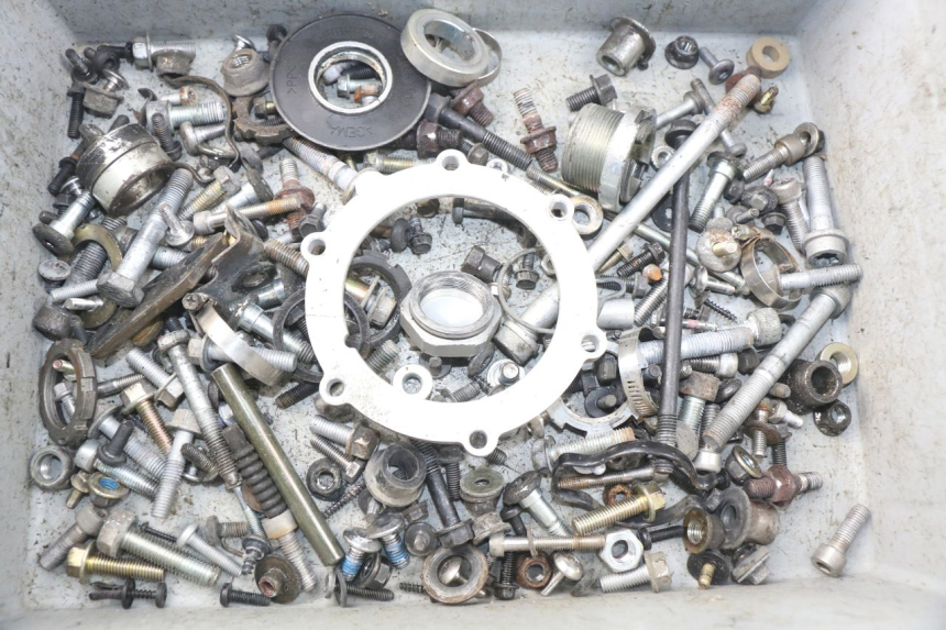 photo de SCREWS BAG TRIUMPH SPRINT ST ABS 1050 (2005 - 2007) - Main view