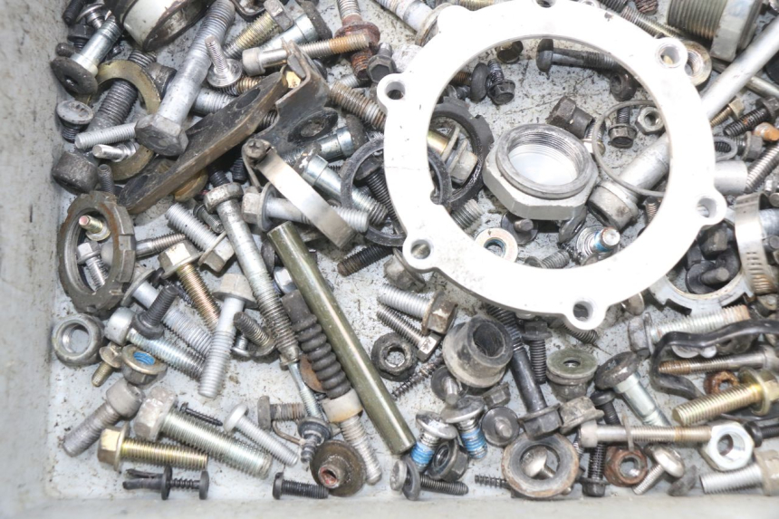 photo de SCREWS BAG TRIUMPH SPRINT ST ABS 1050 (2005 - 2007) - Alternative perspective