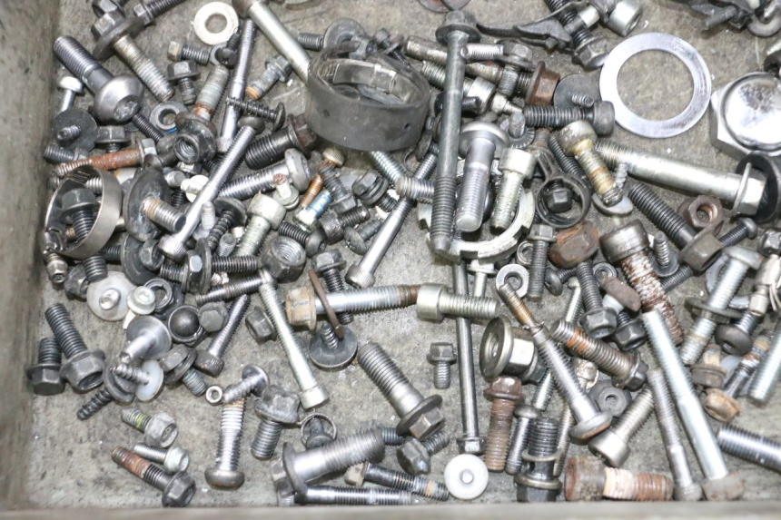 photo de SCREWS BAG YAMAHA TDM ABS 900 (2002 - 2014) - Alternative perspective