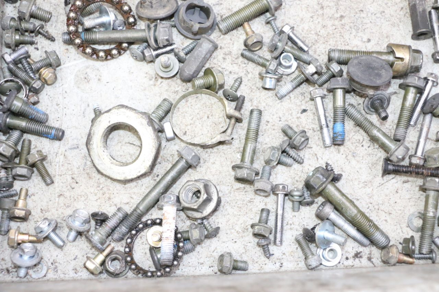 photo de SCREWS BAG PEUGEOT TWEET PRO CARGO 50 (2018 - 2020)