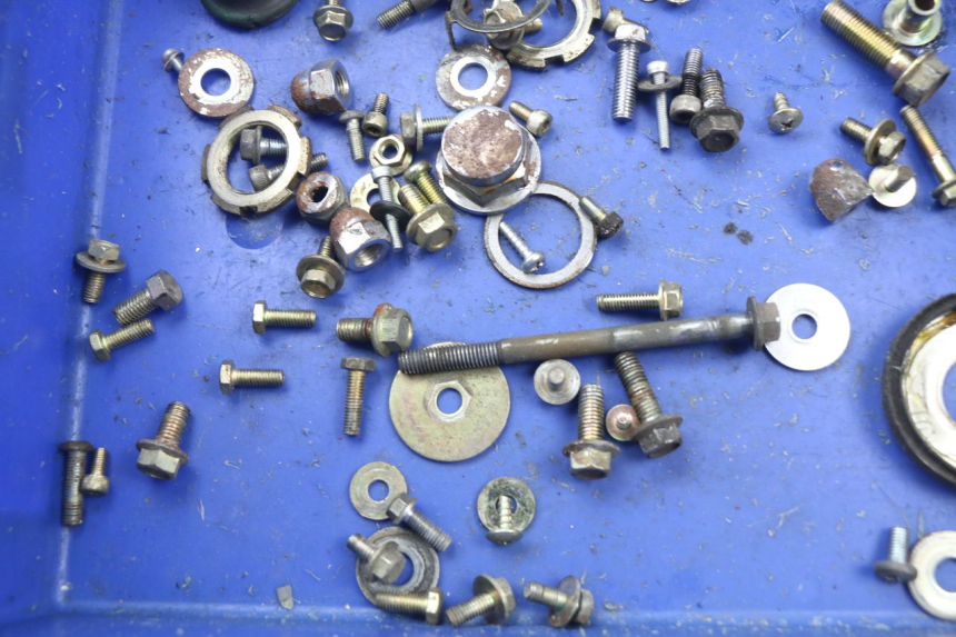photo de SCREWS BAG YAMAHA YBR 125 (2007 - 2009)