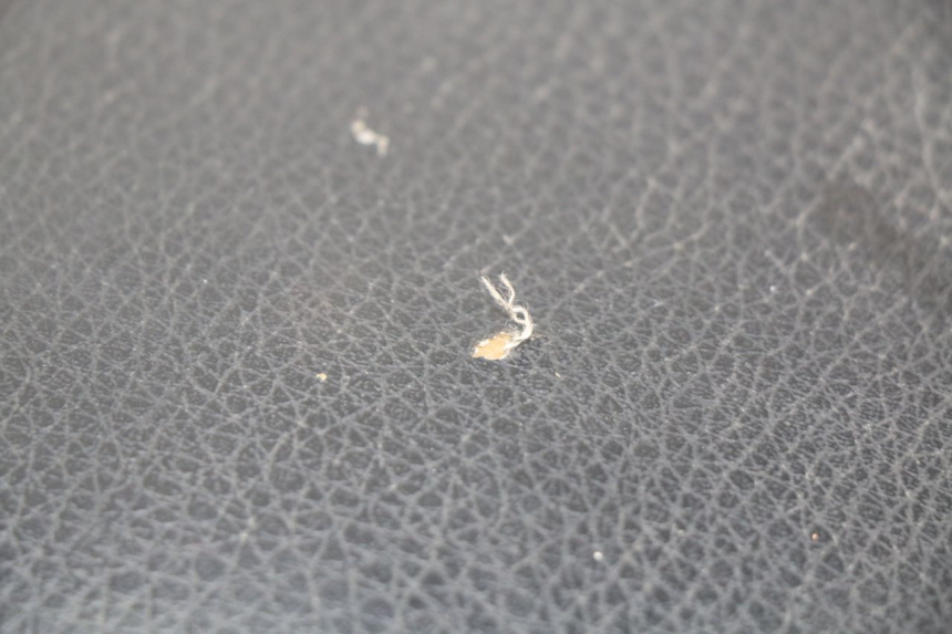 photo de REAR SEAT KYMCO AGILITY 4T 50 (2005 - 2018)