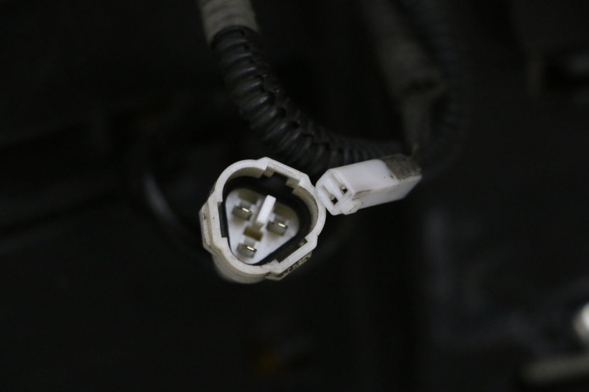 photo de SEAT SUZUKI BURGMAN 650 (2013 - 2020)