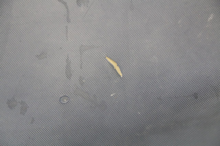 photo de SEAT YAMAHA BW'S 50 (2004 - 2017)