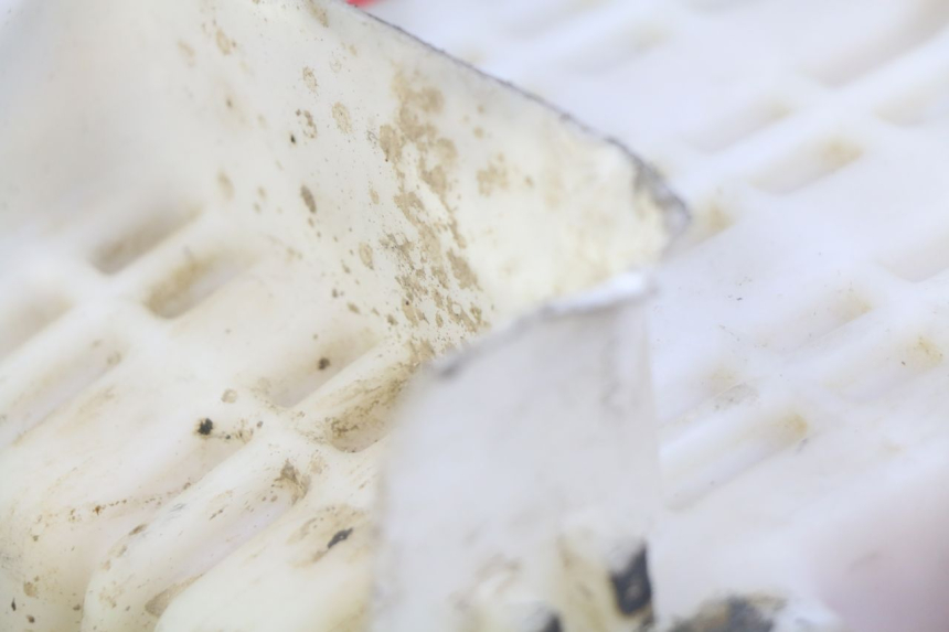 photo de SEAT HONDA CRF CR-F 100 (2004 - 2013)