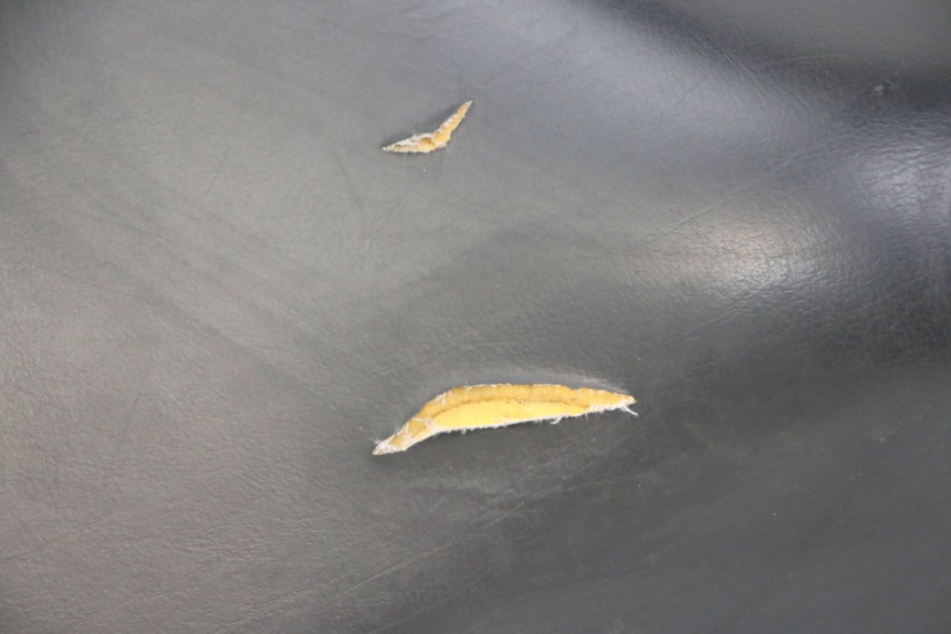 photo de SEAT PEUGEOT ELYSTAR 50 (2002 - 2014)