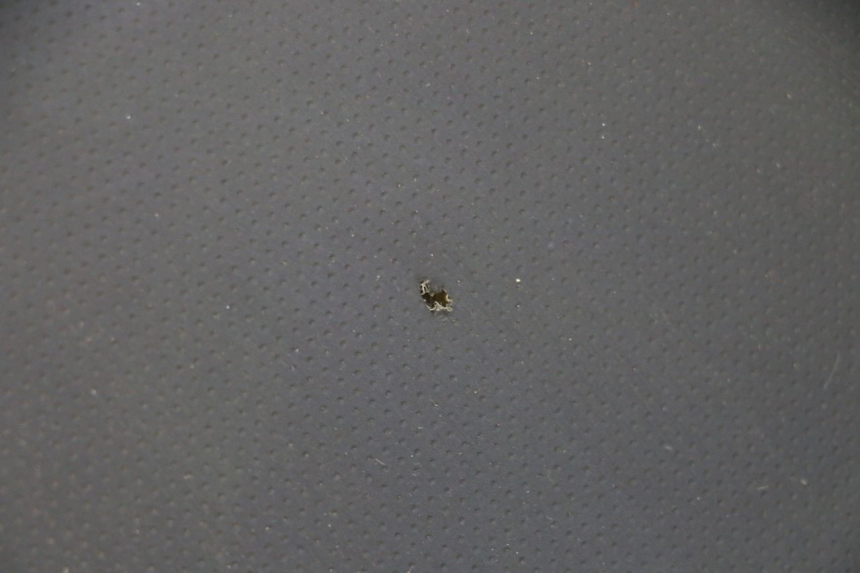 photo de SEAT STAHO FH 50 (2018 - 2019)