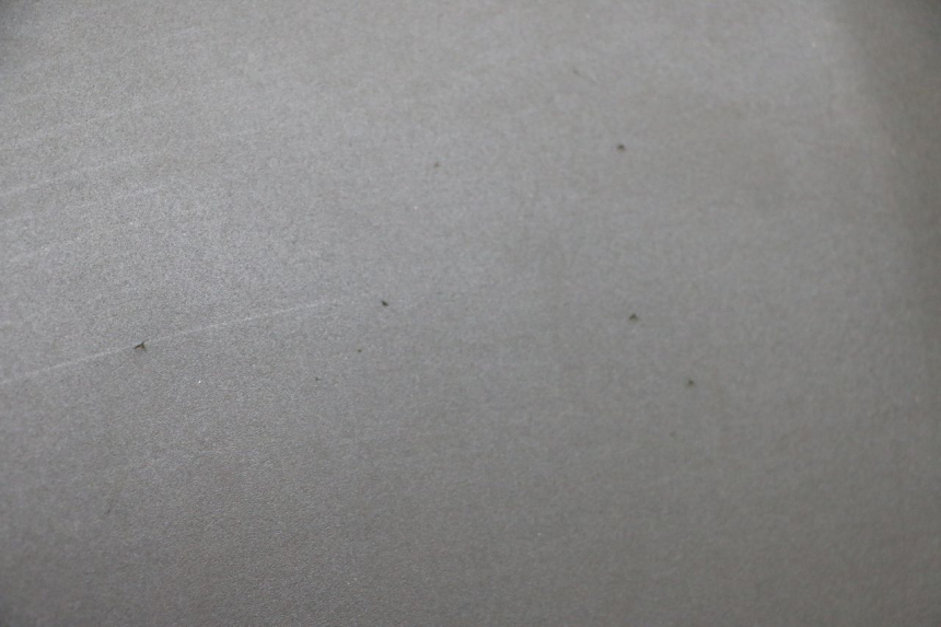 photo de SEAT MBK OVETTO ONE 2T 50 (2013 - 2017)