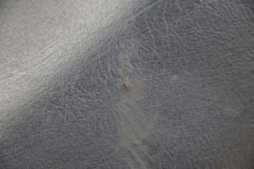photo de SEAT PEUGEOT ELYSTAR 50 (2002 - 2014)