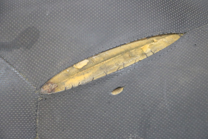 photo de SEAT YAMAHA XMAX X-MAX 125 (2006 - 2009)