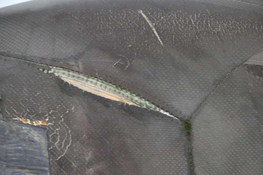 photo de SEAT YAMAHA X-MAX XMAX 250 (2006 - 2009)