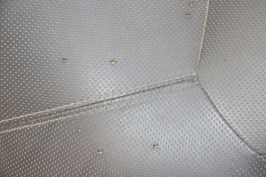 photo de SEAT YAMAHA XMAX X-MAX 125 (2006 - 2009) - Checked used part