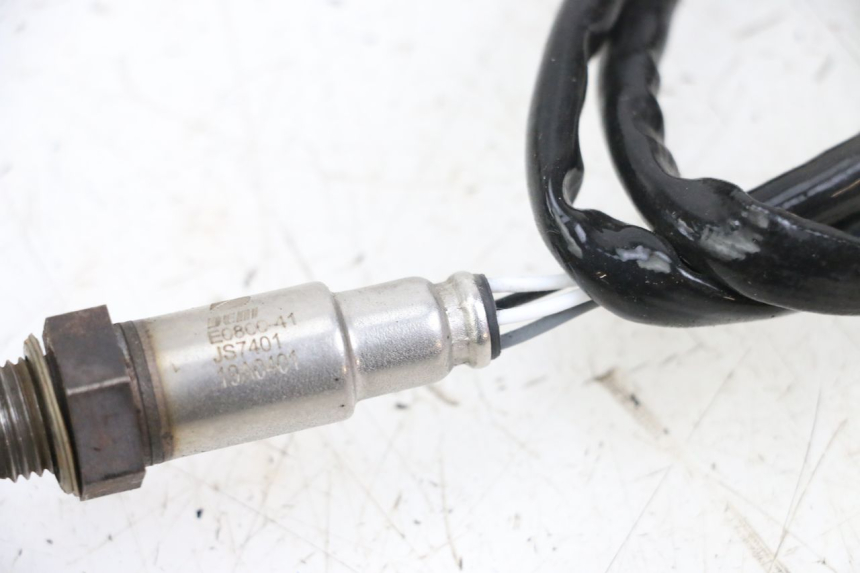 photo de LAMBDA SENSOR ARCHIVE CAFE RACER 4T 50 (2019 - 2024)