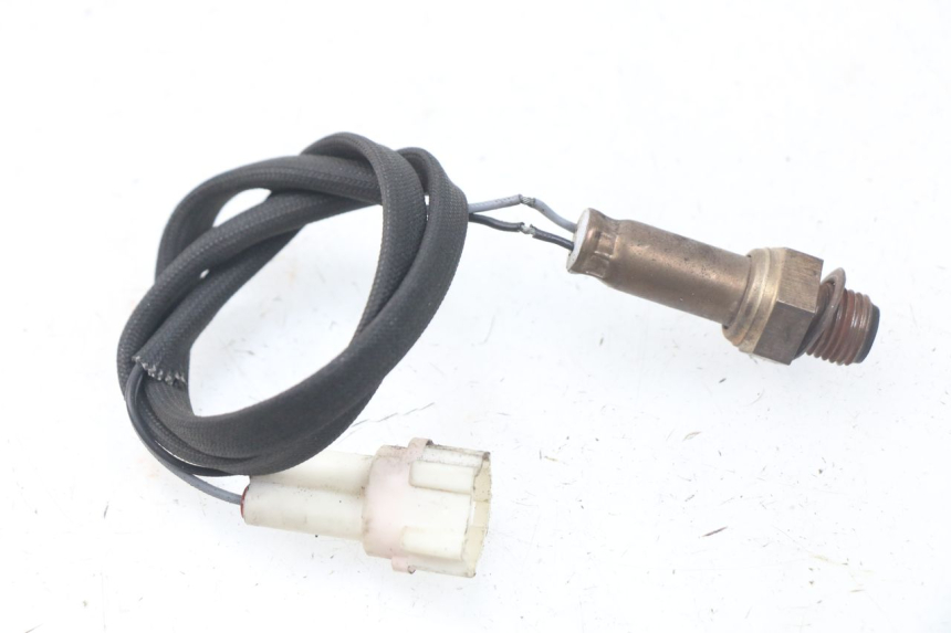 photo de OXYGEN SENSOR JM MOTORS MIA 50 (2017 - 2020)