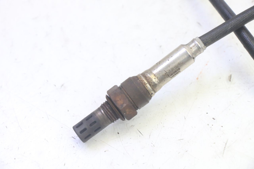 photo de OXYGEN SENSOR TNT MOTOR ROMA 10' 4T 50 (2019 - 2022) - Component detail