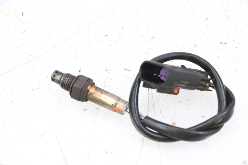 photo de LAMBDA SENSOR NECO TEMPO 4T 50 (2022 - 2026) - Main view