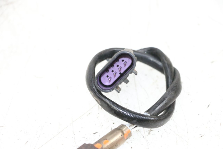 photo de LAMBDA SENSOR NECO TEMPO 4T 50 (2022 - 2026) - Alternative perspective