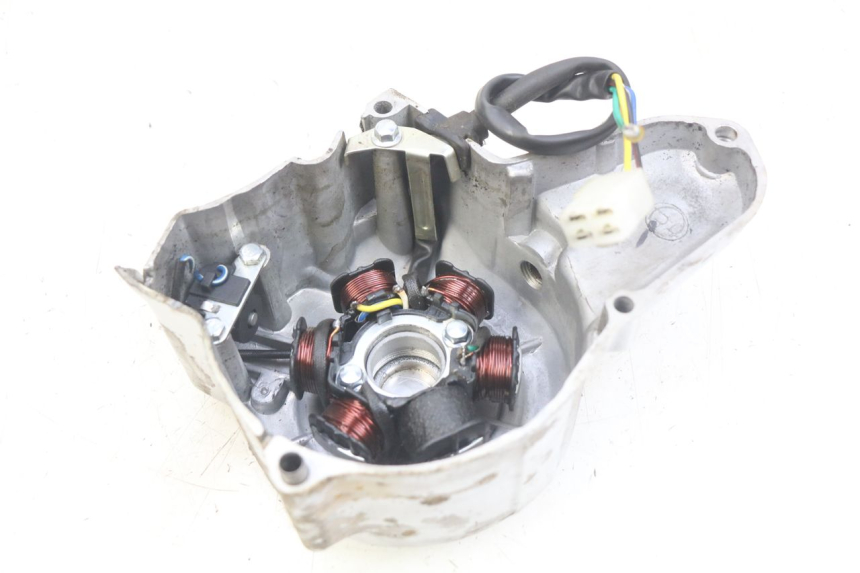 photo de STATOR PANTHERA PANTHERA 110 (2010 - 2017)