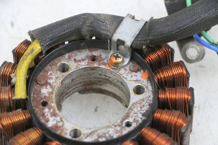 photo de STATOR DAELIM S1 125 (2007 - 2016) - Zoom on usage condition