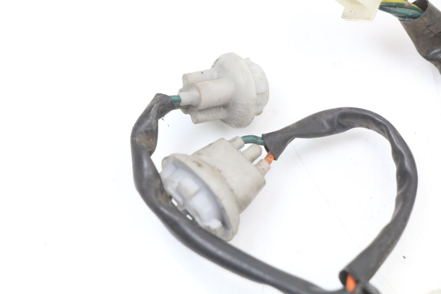 photo de BULB HOLDER HONDA SH ABS 125 (2012 - 2017)