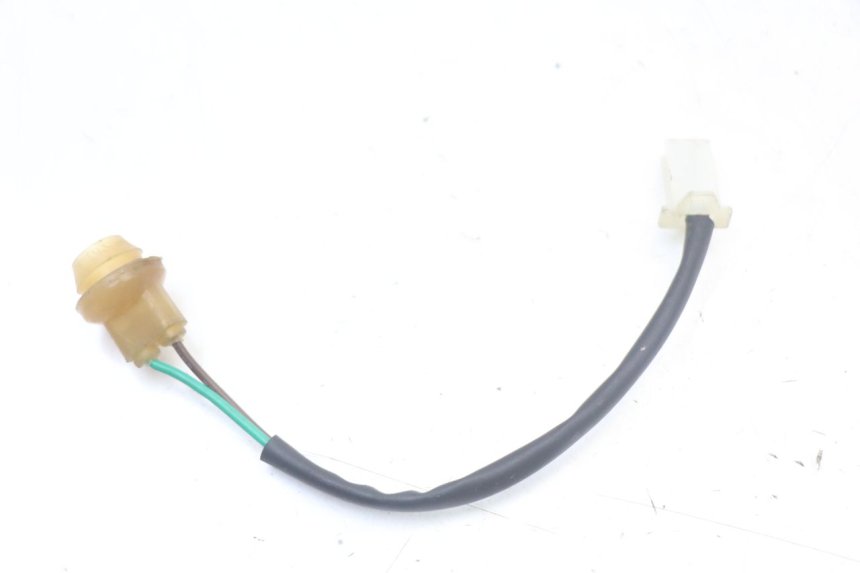 photo de BULB HOLDER JM MOTORS VX 125 (2022 - 2025)