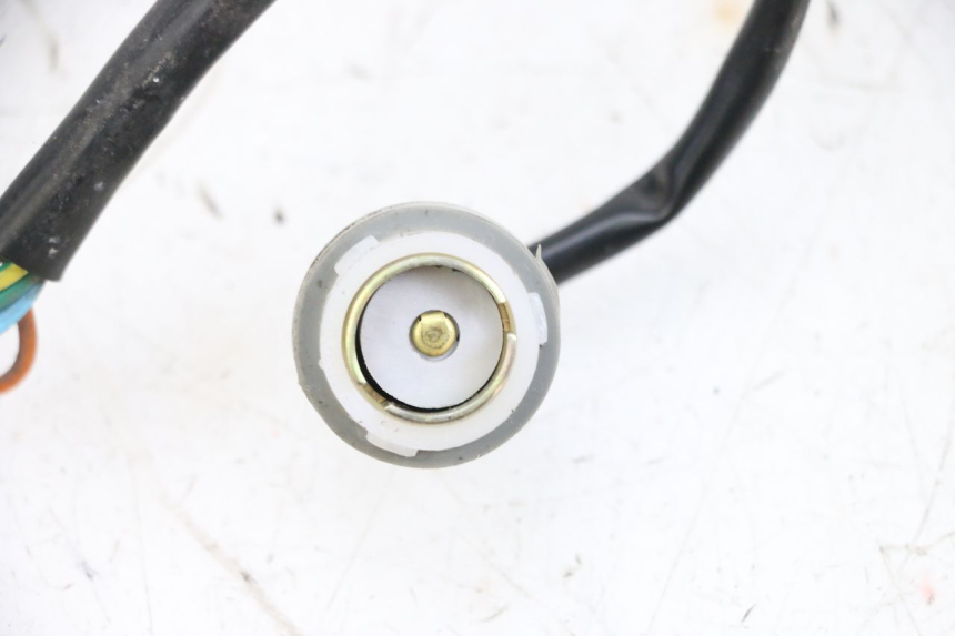 photo de BULB HOLDER SYM ORBIT III 3 4T 50 (2018 - 2021) - Technical close-up