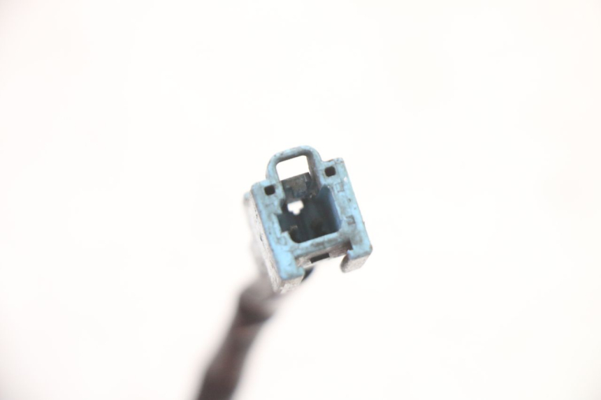 photo de BULB HOLDER HONDA ST PAN EUROPEAN 1300 (2002 - 2013)