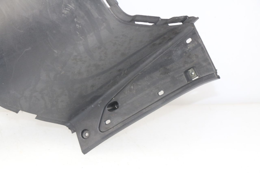 photo de INNER LEGSHIELD ERIDER CARGO 1 (2009 - 2018)