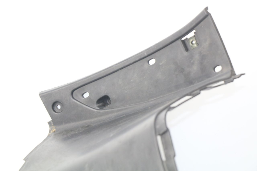 photo de INNER LEGSHIELD ERIDER CARGO 1 (2009 - 2018)