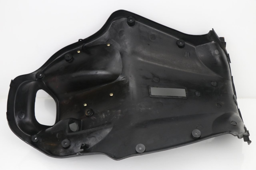 photo de INNER LEGSHIELD PGO LIGERO 50 (2006 - 2010)