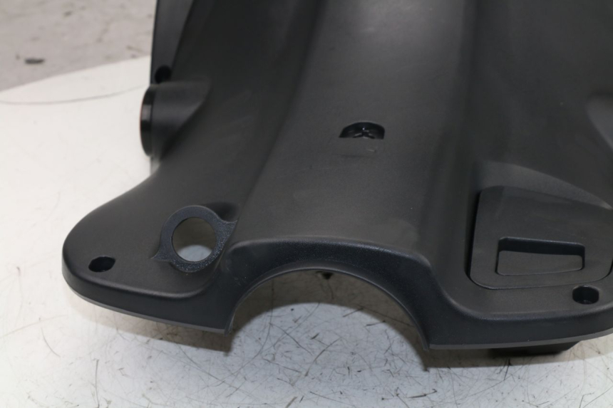 photo de INNER LEGSHIELD DAELIM S4 50 (2010 - 2015)