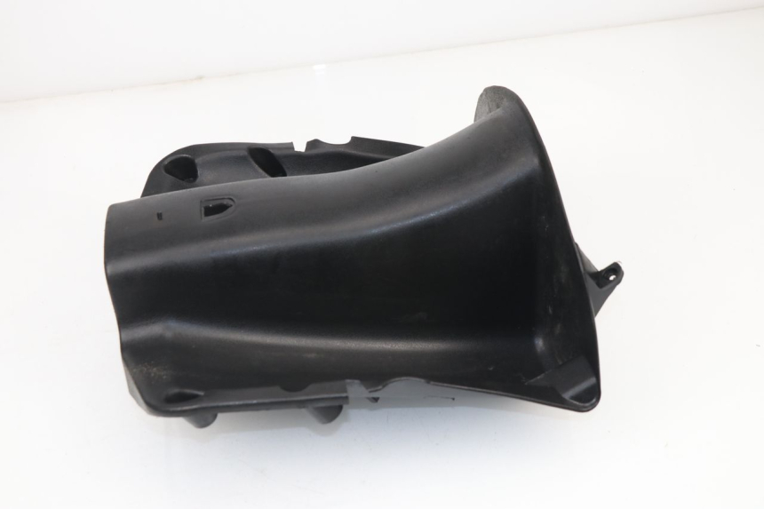 photo de INNER LEGSHIELD UPPER BAOTIAN TRAVEL SPIRIT 50 (2010 - 2012)